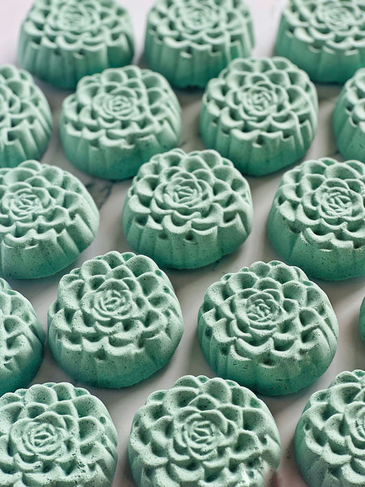 Enchanted Garden SUCCULENT Bath Bomb